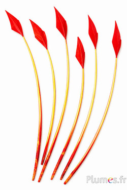 Cigno freccia - 20-30 cm - rosso-giallo